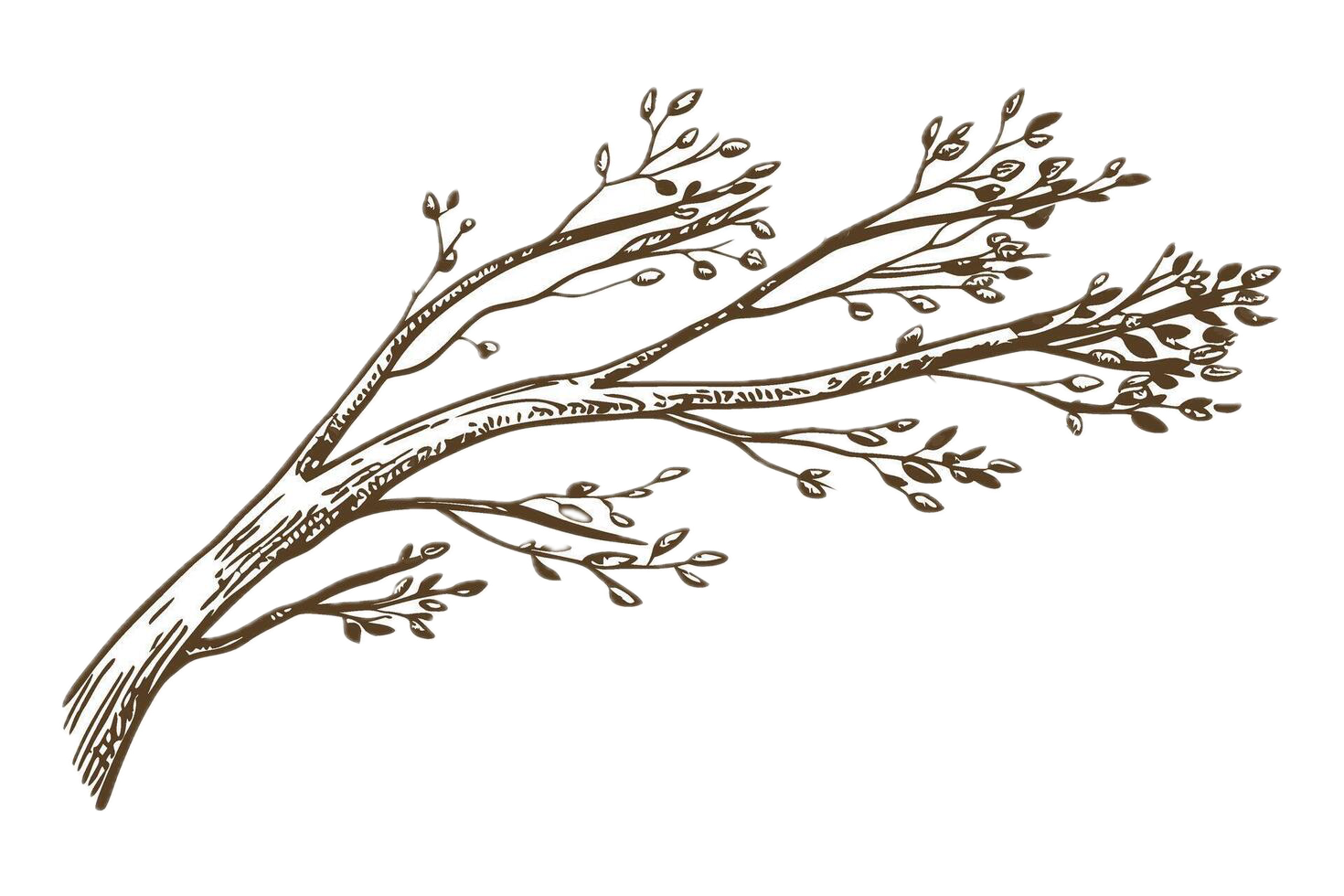 Decorative branch
